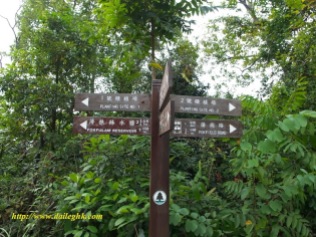 2013110247-山頂-爐峰自然步道